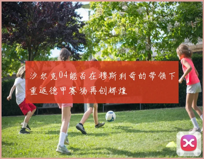 沙尔克04能否在穆斯利奇的带领下重返德甲赛场再创辉煌