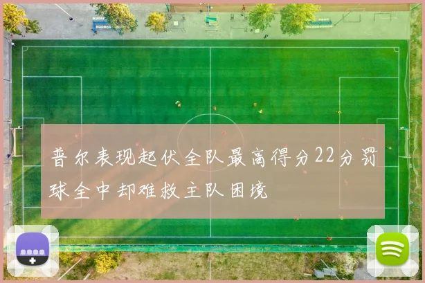 普尔表现起伏全队最高得分22分罚球全中却难救主队困境
